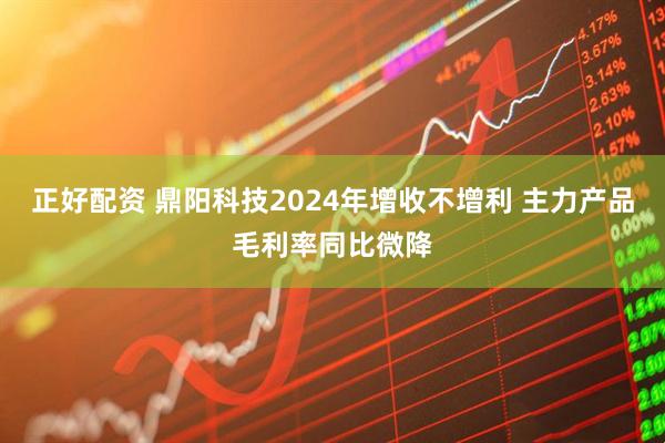 正好配资 鼎阳科技2024年增收不增利 主力产品毛利率同比微降