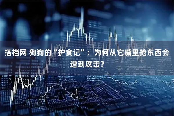 搭档网 狗狗的“护食记”：为何从它嘴里抢东西会遭到攻击？