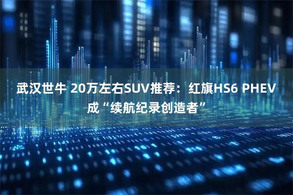 武汉世牛 20万左右SUV推荐：红旗HS6 PHEV成“续航纪录创造者”