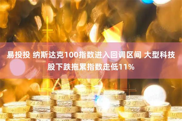 易投投 纳斯达克100指数进入回调区间 大型科技股下跌拖累指数走低11%